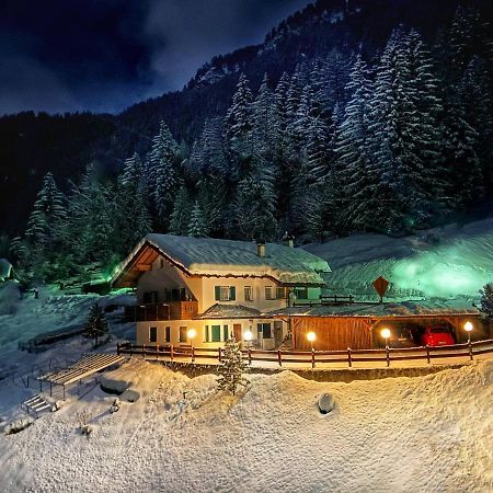 Cesa Vedla - Quite And Cozy Alpine Escape 奥蒂塞伊 外观 照片
