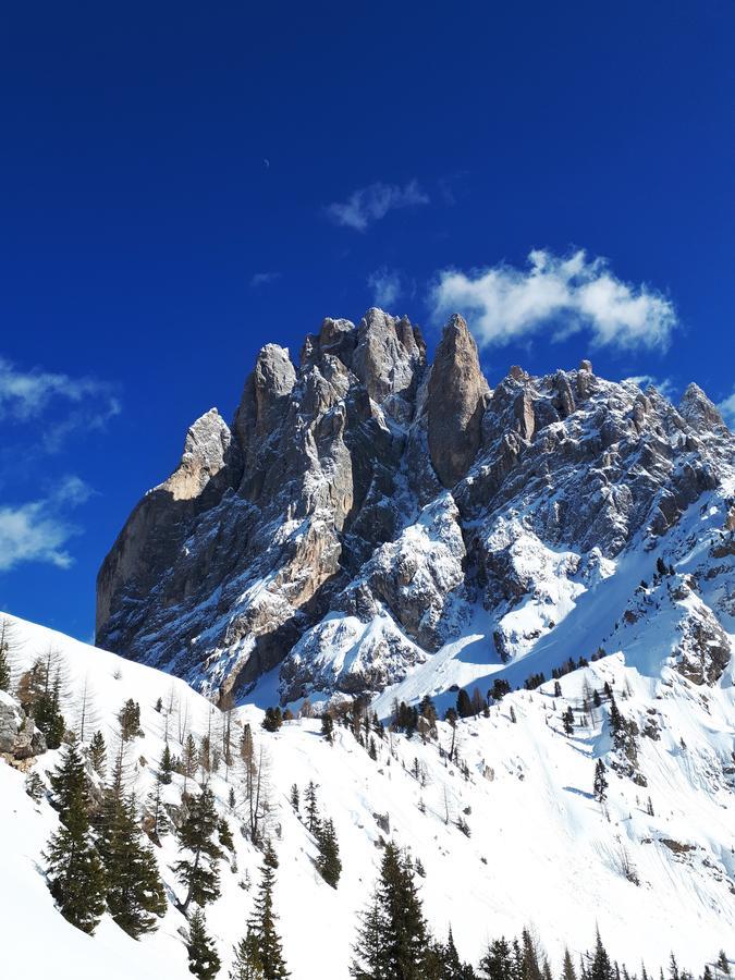 Cesa Vedla - Quite And Cozy Alpine Escape 奥蒂塞伊 外观 照片